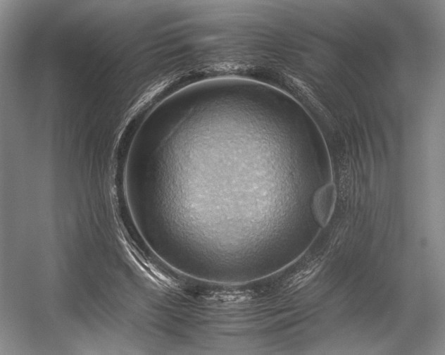 X0000057580443200509161106