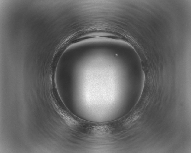 X0000057580446200509161106