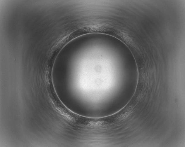 X0000057580450200509161106