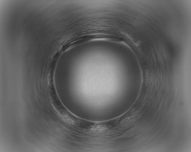 X0000057580451200509161106