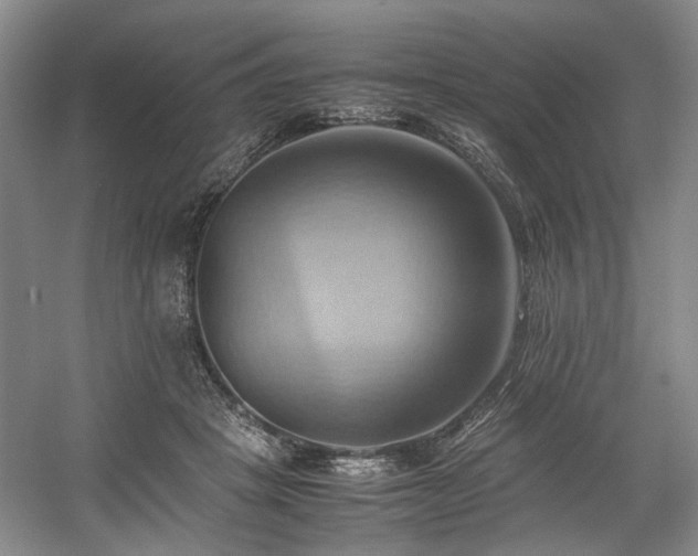 X0000057580457200509161106