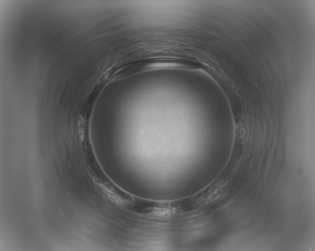 X0000057580458200509161106