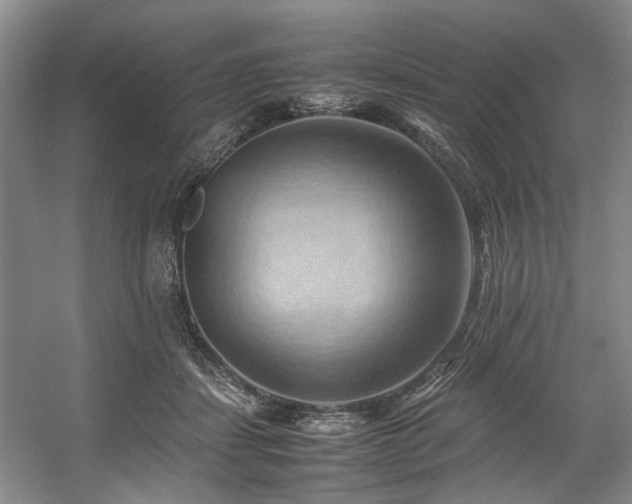 X0000057580459200509161106