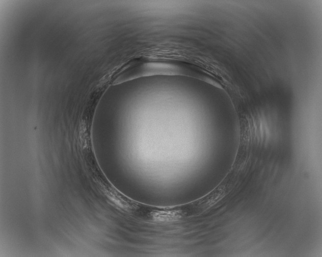 X0000057580465200509161106