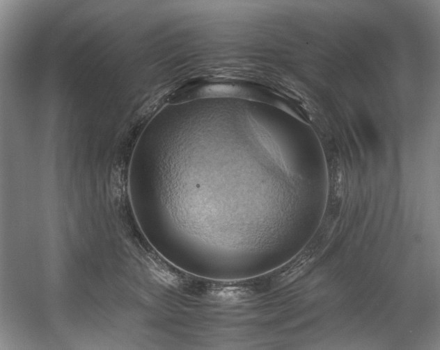X0000057580467200509161106