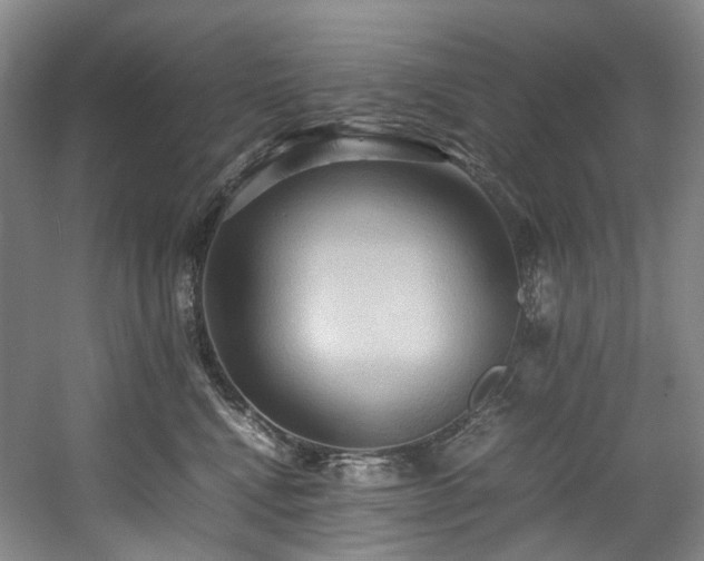 X0000057580472200509161107