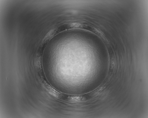 X0000057580473200509161107
