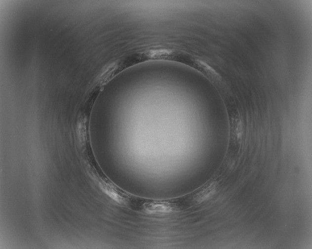 X0000057580475200509161107