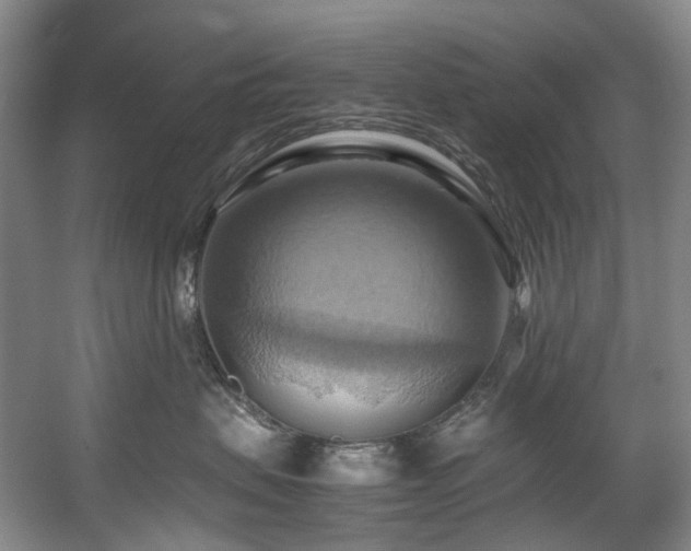 X0000057580479200509161107