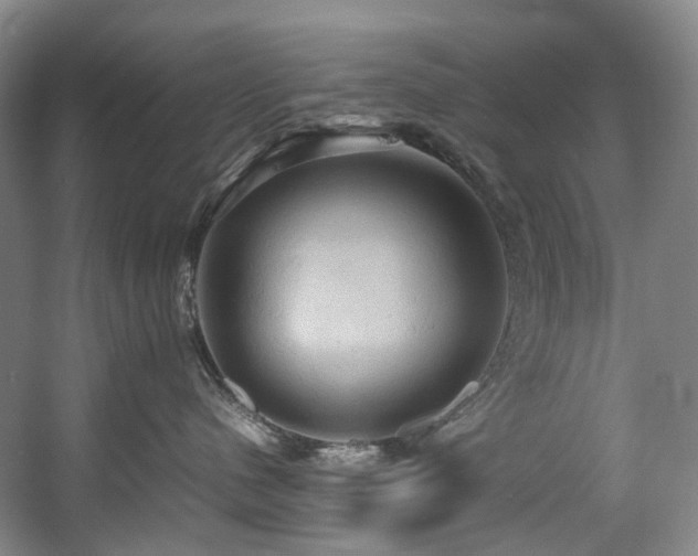 X0000057580480200509161107