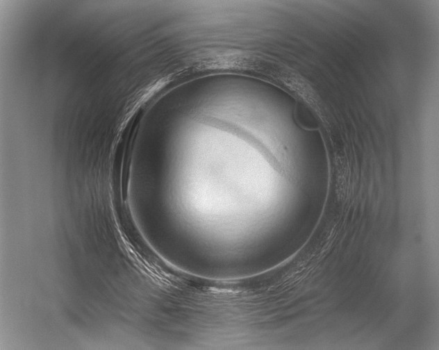 X0000057580482200509161106