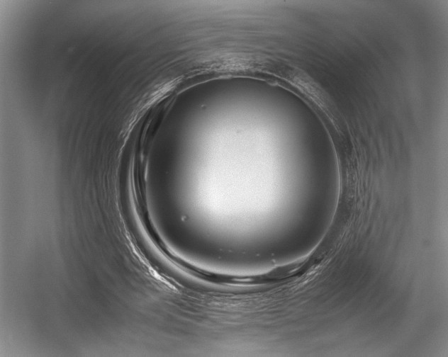 X0000057580485200509161106