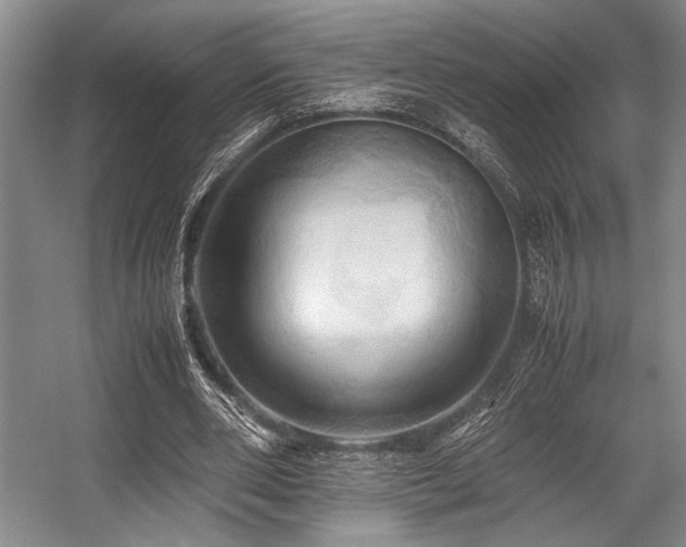 X0000057580486200509161106