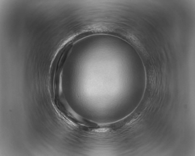 X0000057580488200509161106