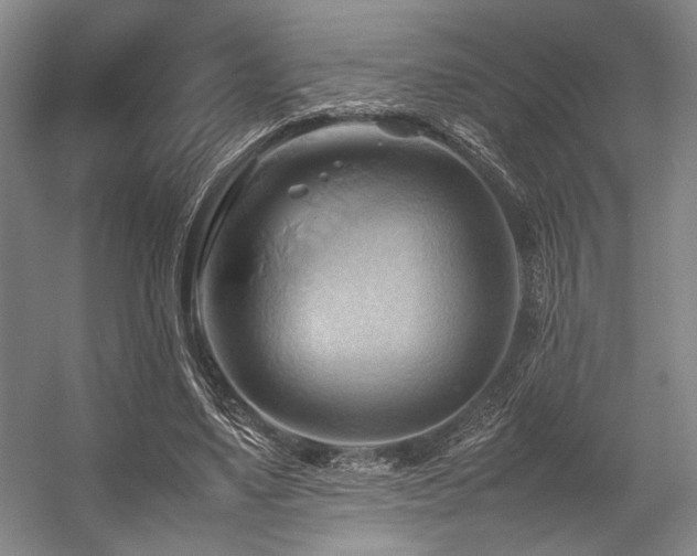 X0000057580491200509161106