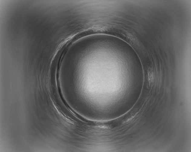 X0000057580492200509161106