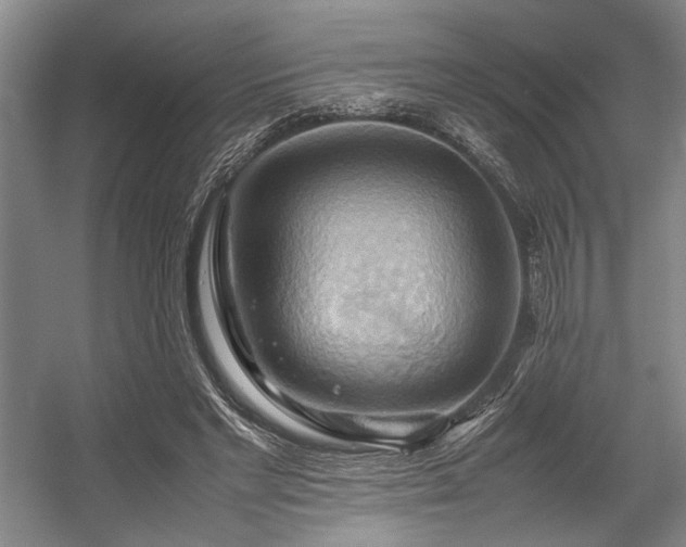 X0000057580493200509161106