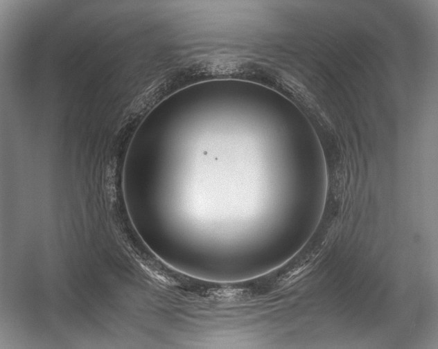 X0000057580497200509161106