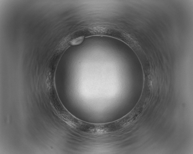 X0000057580498200509161106