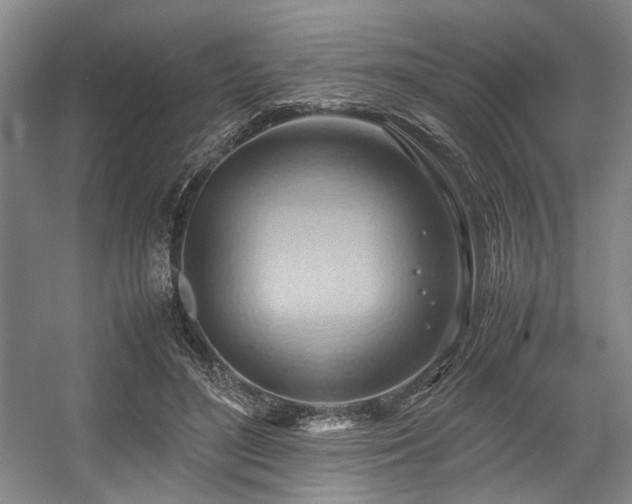X0000057580500200509161106