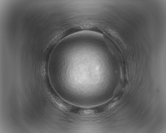 X0000057580501200509161105