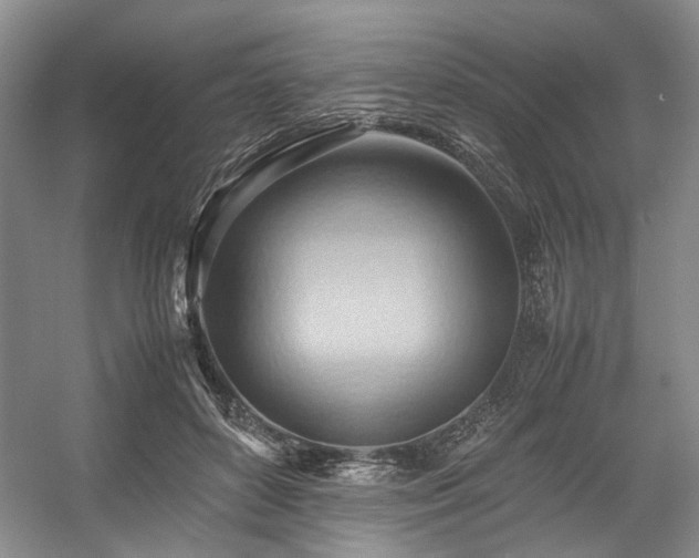 X0000057580504200509161105