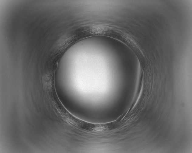 X0000057580505200509161105