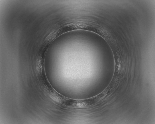 X0000057580506200509161105