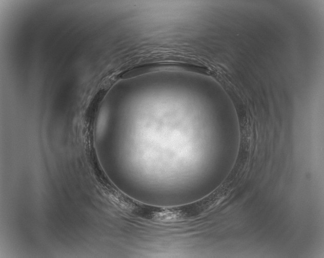 X0000057580511200509161105
