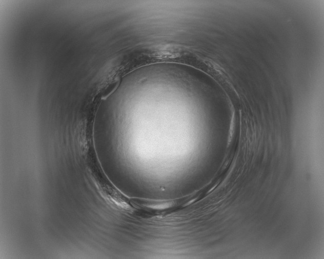 X0000057580512200509161105