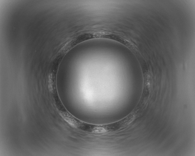 X0000057580519200509161105
