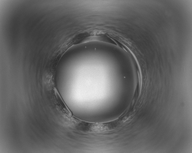 X0000057580521200509161105