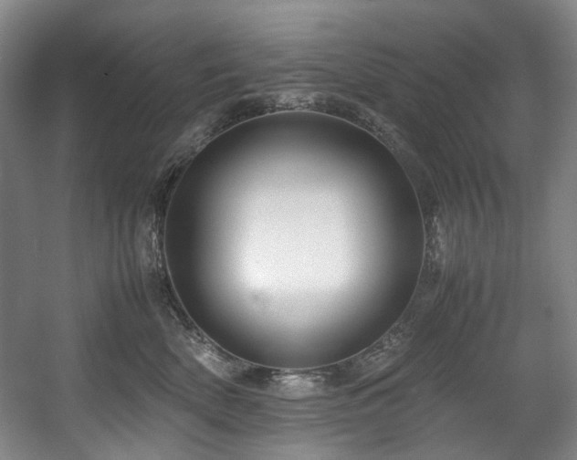 X0000057580522200509161105