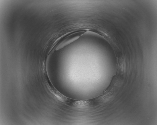 X0000057580526200509161105