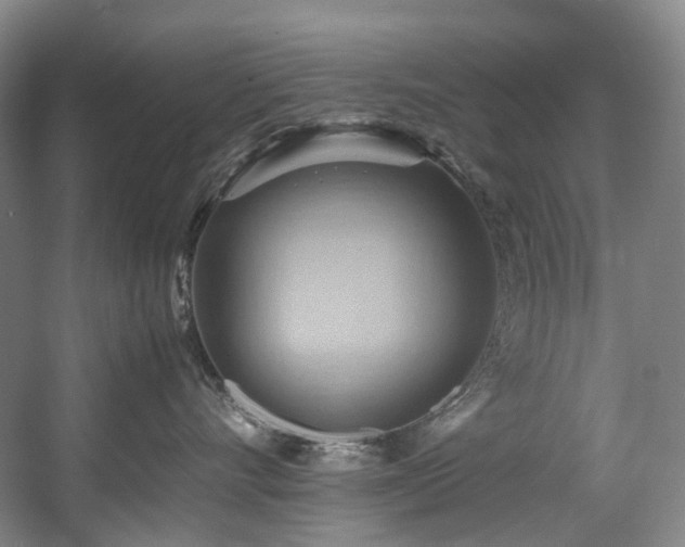 X0000057580528200509161105