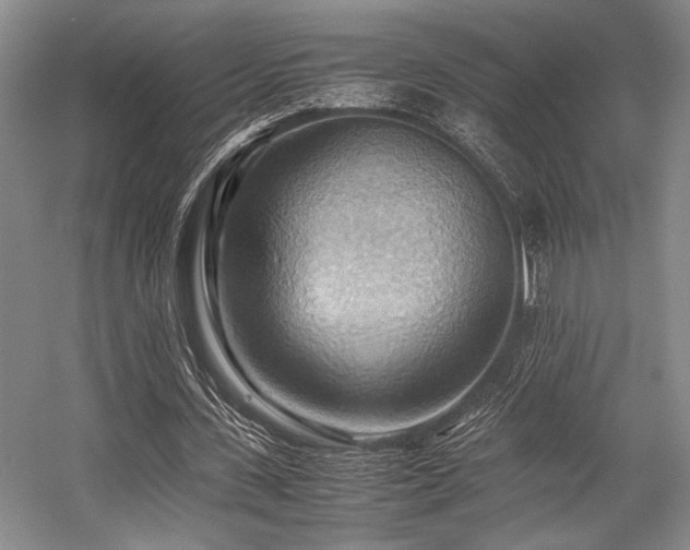X0000057580531200509161104