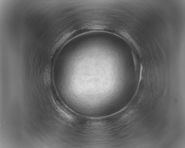 X0000057580533200509161104