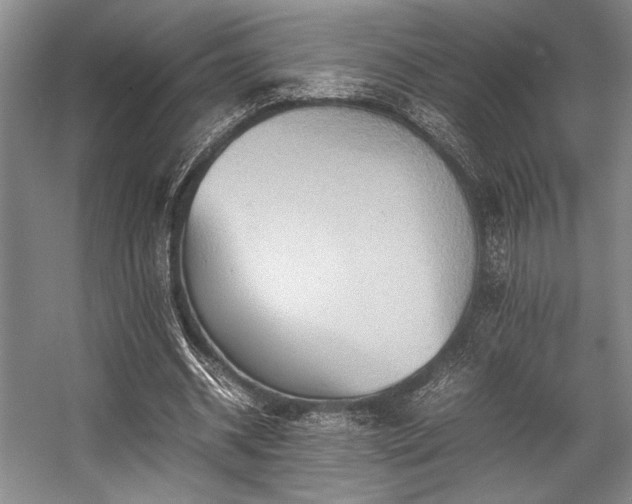 X0000057580534200509161104