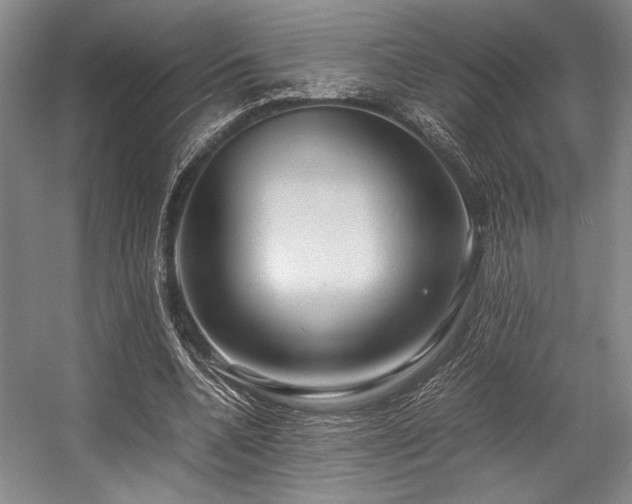 X0000057580536200509161104