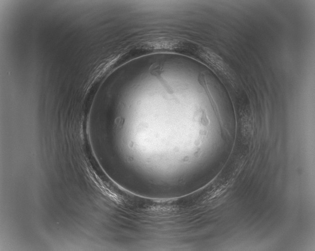 X0000057580537200509161104