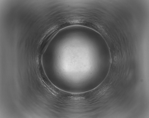 X0000057580539200509161104