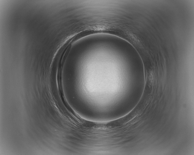 X0000057580540200509161104