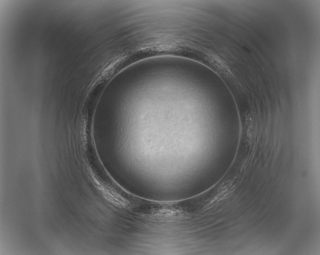 X0000057580542200509161104