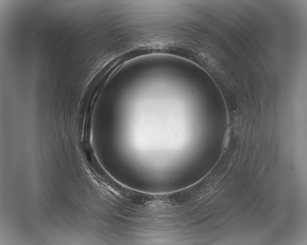 X0000057580544200509161104