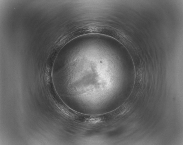 X0000057580554200509161105