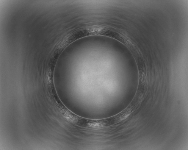X0000057580561200509161105