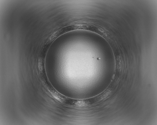 X0000057580562200509161105