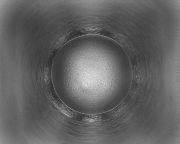 X0000057580563200509161105