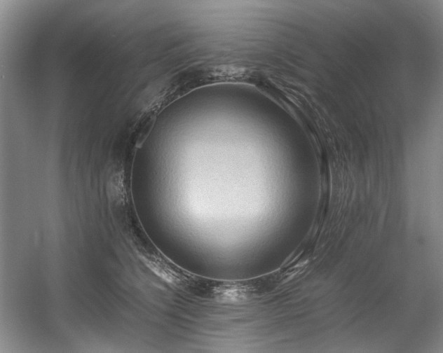 X0000057580564200509161105