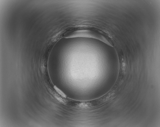 X0000057580566200509161105